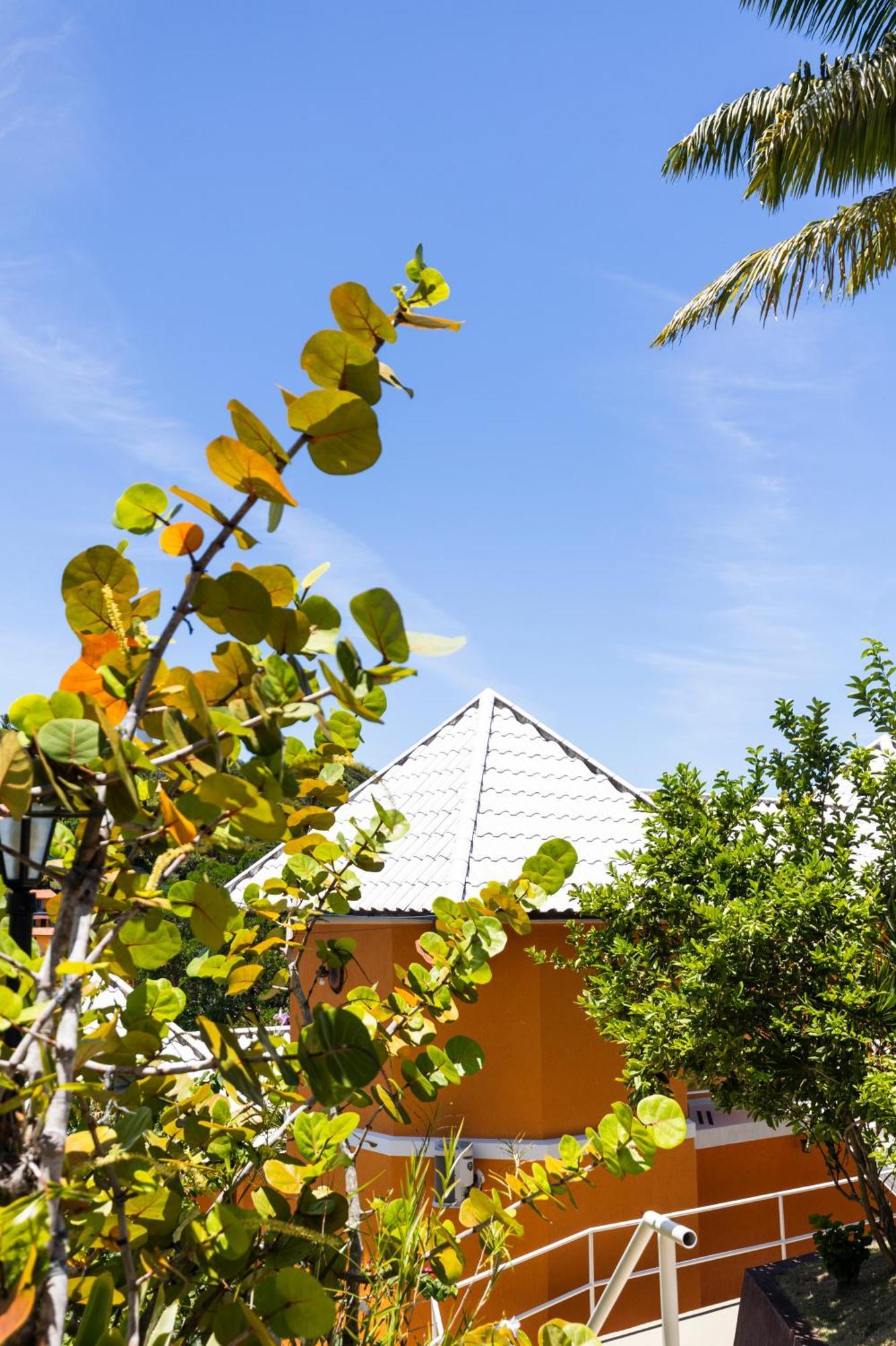 Hotel מורו דה סאו פאולו מראה חיצוני תמונה